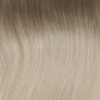 Salt + Pine Hair Clip In Extension Rental