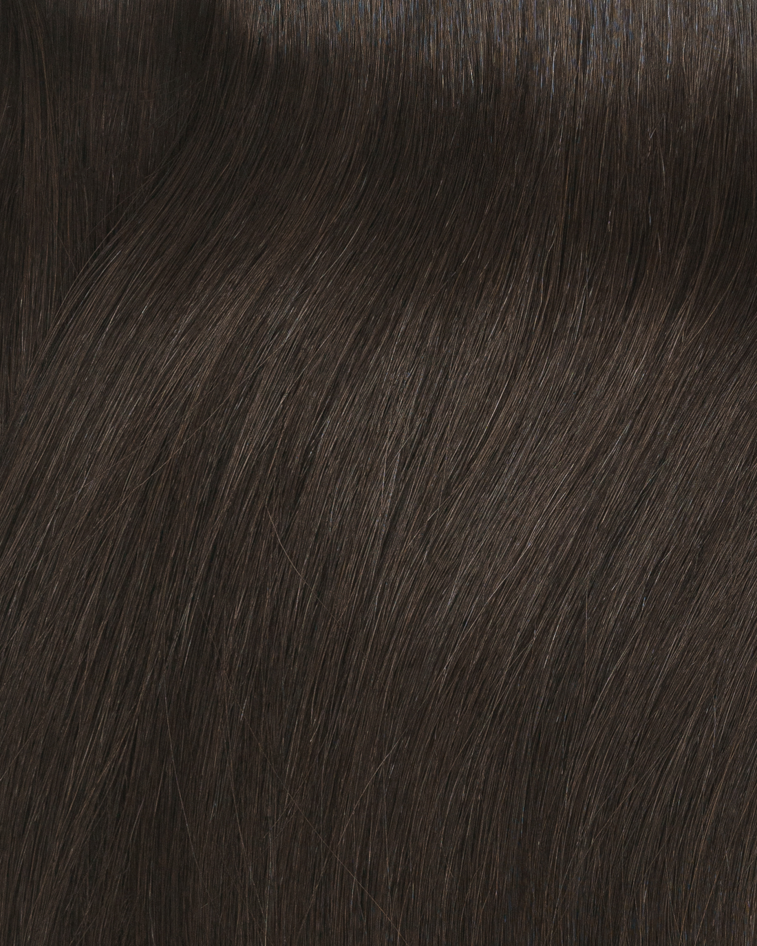 Salt + Pine Hair Clip In Extension Rental