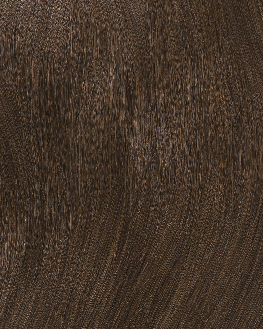 Salt + Pine Hair Clip In Extension Rental