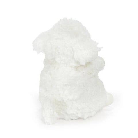 Bunnies By the Bay - Wee Kiddo Lamb